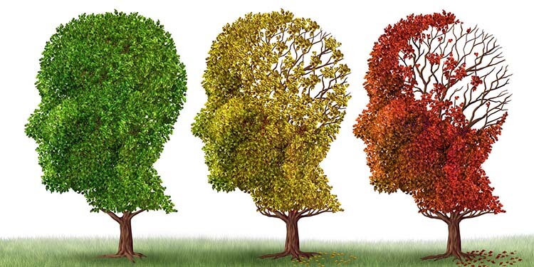 demans-alzheimer-unutkanlik-cover