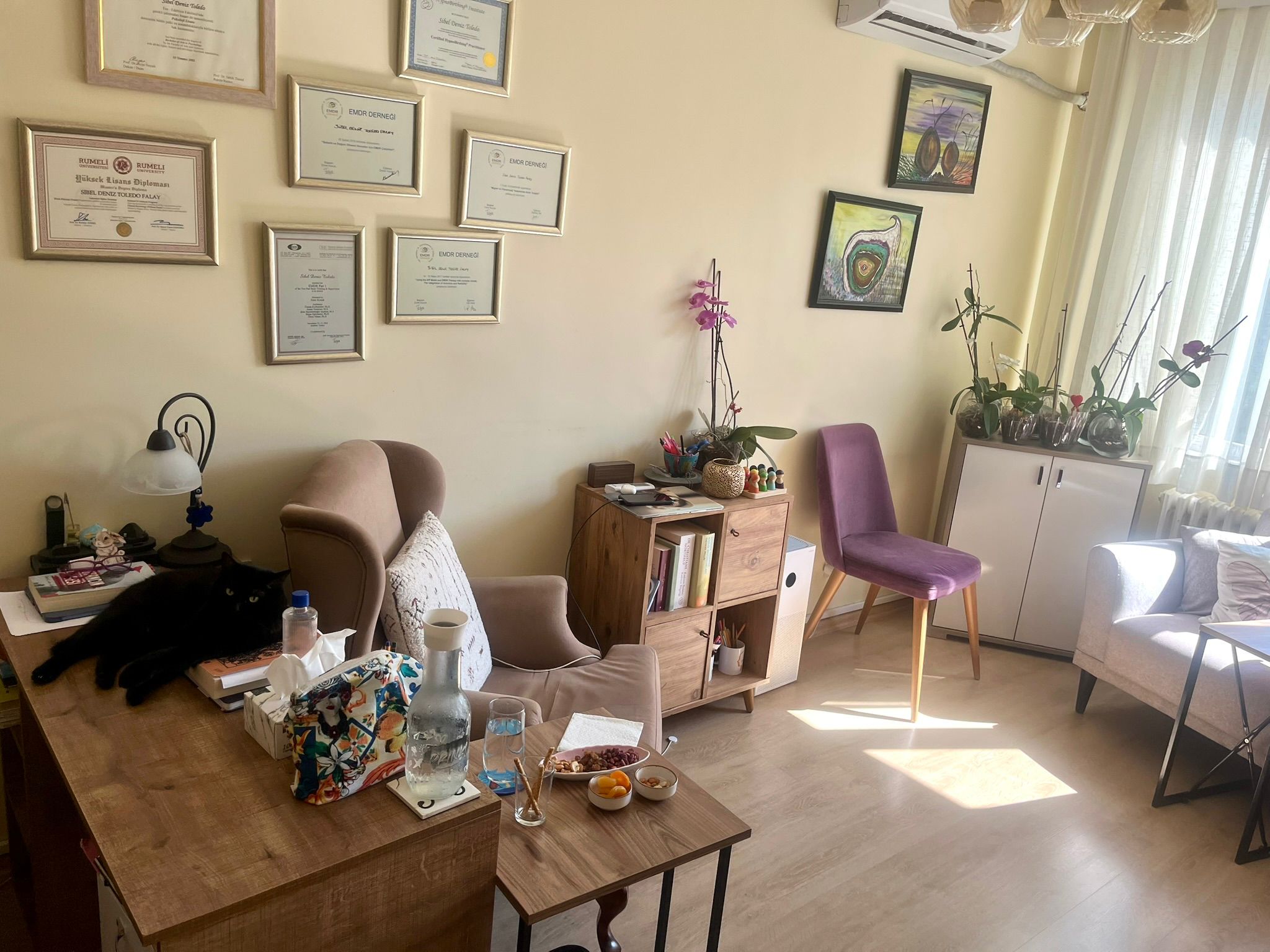 Klinik Psikolog Sibel Deniz Toledo